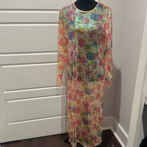 Zara glittery sheer dress